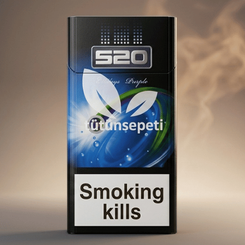 520 Kalpli Sigara 2 Ways Purple - Mentol Böğürtlen