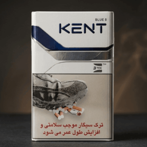 Kent Blue 8 ithal sigara