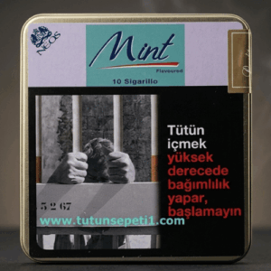 Neos Mint Sigarillo - Nane Aromalı