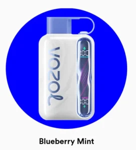 Vozol Star 40000 Blueberry Mint