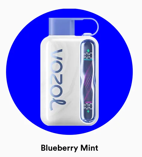 Vozol Star 40000 Blueberry Mint