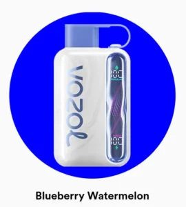 Vozol Star 40000 Blueberry Watermelon