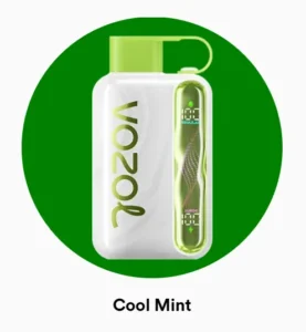 Vozol Star 40000 Cool Mint