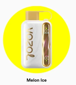 Vozol Star 40000 Melon Ice