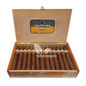 Cohiba Piramides Puro - 25's Ahşap Kutu DOMİNİC