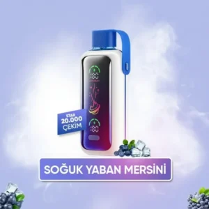 Vozol Star 20000 Puff - Blue Razz Ice