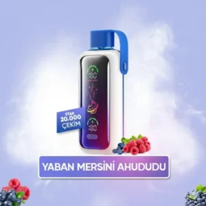 Vozol Star 20000 Puff - Blueberry Storm